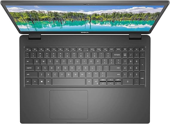 Dell 3510